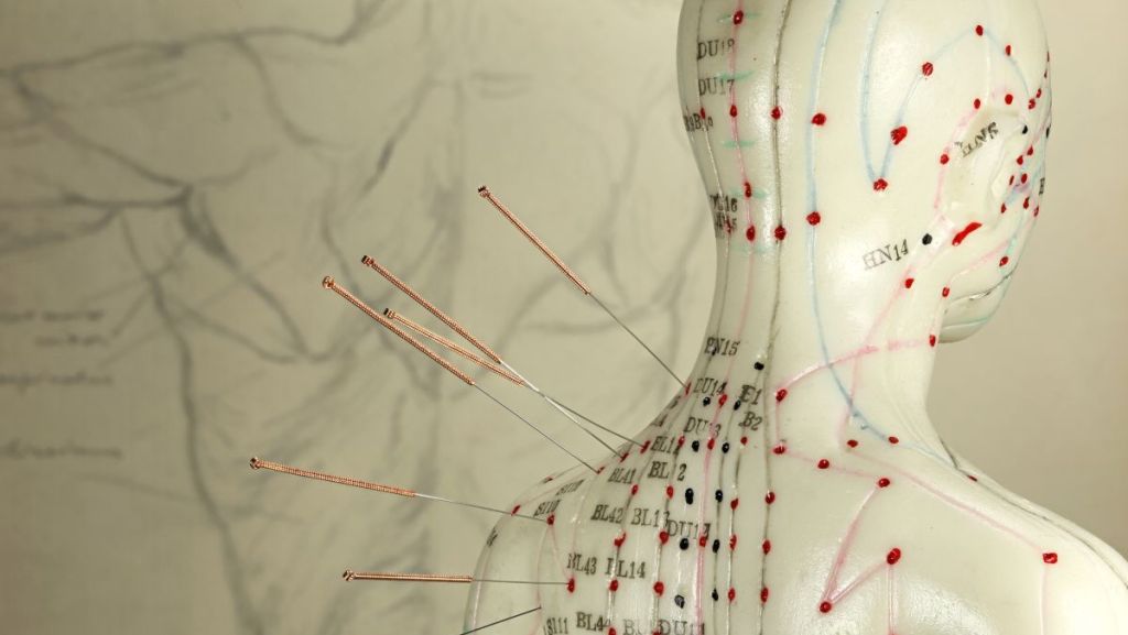 Quels liens entre médecine occidentale et médecine traditionnelle chinoise ?