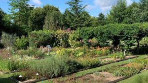 Milly-la-Forêt : immersion au cœur du Conservatoire des Plantes