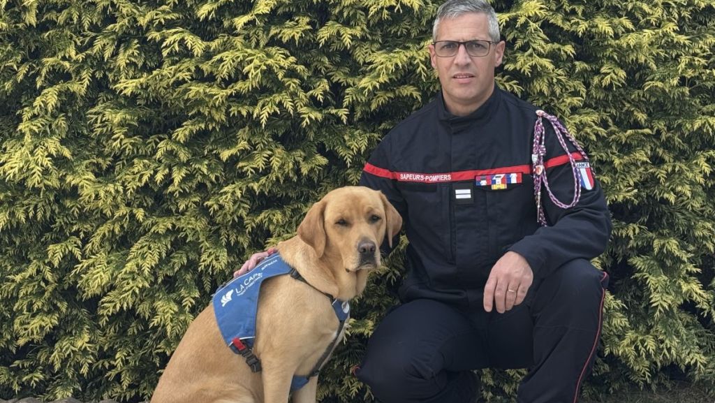 Pompiers, héros du quotidien : les belles histoires de la Haute-Garonne