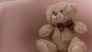 Teddy the Bear