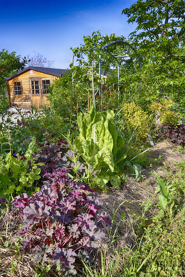 En Corrèze, le jardin de Thierry Lefèvre