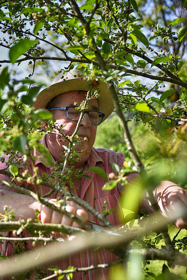 En Corrèze, le jardin de Thierry Lefèvre