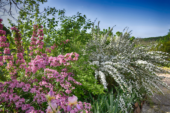 En Corrèze, le jardin de Thierry Lefèvre
