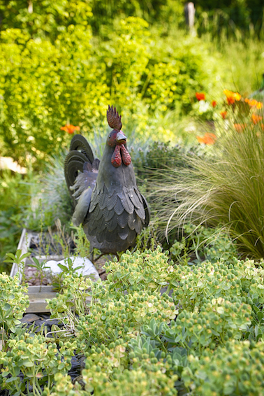 En Corrèze, le jardin de Thierry Lefèvre