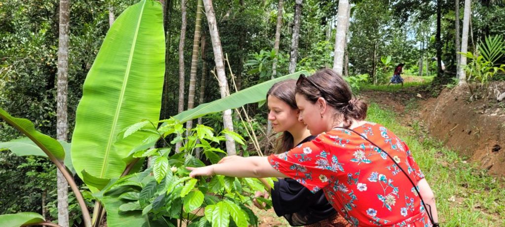 Biodyssée : du café 100 % bio en direct des producteurs