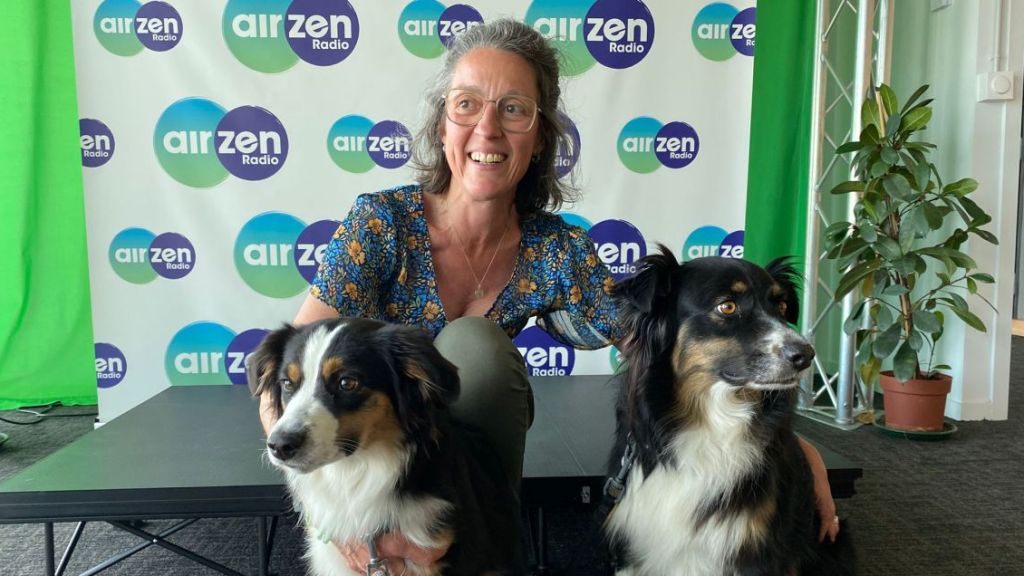 Quels sont les bienfaits de la médiation animale en entreprise ?