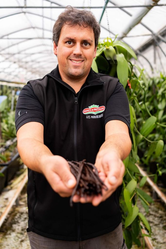 Vanille bretonne : un savoir-faire unique né dans les Côtes-d’Armor