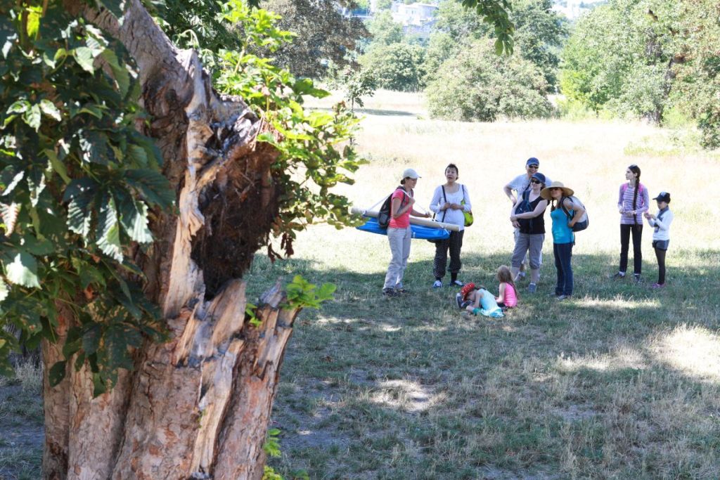 Villeurbanne : La nature à hauteur des plus jeunes avec Anim’Feyssine