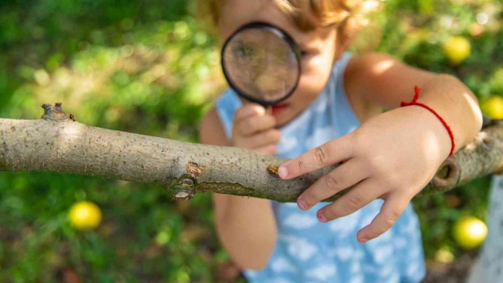 Yvelines : cette commune lance son Atlas de la biodiversité communale
