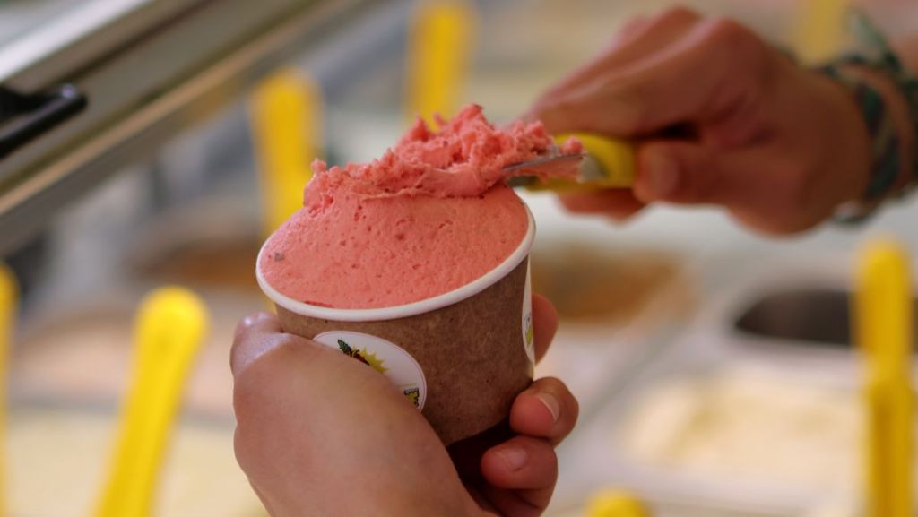 La Rochelle : Tonton Maboule, créateur de plaisirs givrés