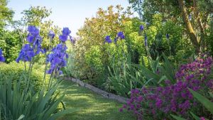 Jardin de Cyril - Maine-et-Loire