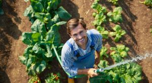 Homme qui arrose son potager