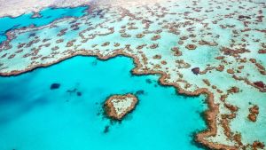 Scintillant sous la mer de corail limpide, la Grande Barrière de Corail, inscrite au patrimoine mondial de l’UNESCO.