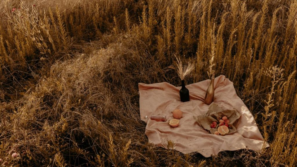 Pause repas : comment préparer le pique-nique idéal ?