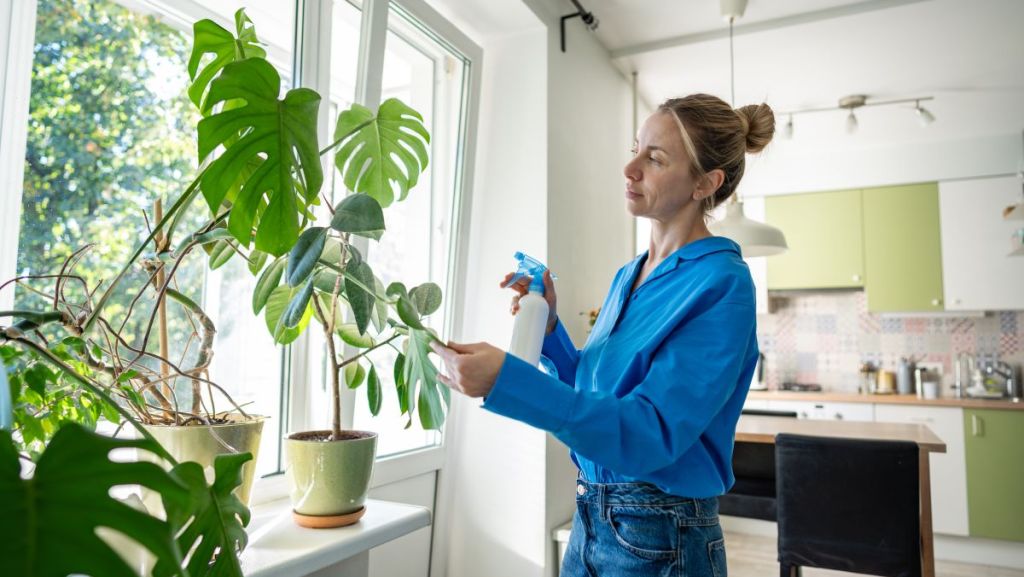 Plantes d’intérieur : les conseils d’une fleuriste pour en prendre soin