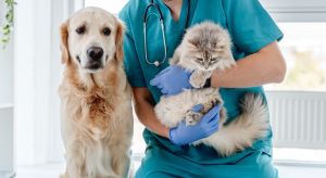 “SOS Chat” et “SOS Chien” : Adoptez les bons réflexes pour son animal