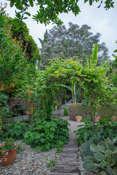 Jardin des Paradis à Cordes-sur-Ciel