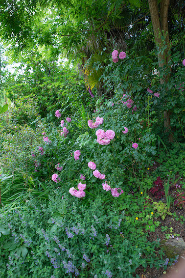 Jardin des Paradis à Cordes-sur-Ciel
