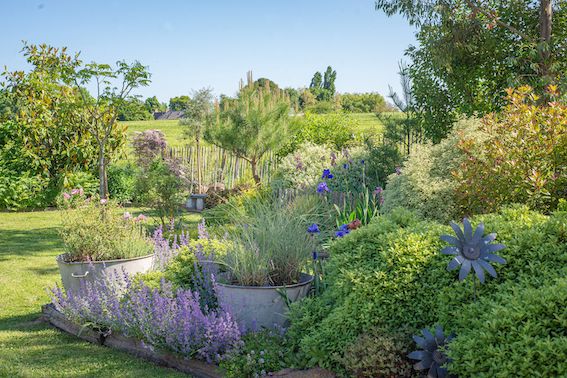 Jardin de Cyril - Maine-et-Loire