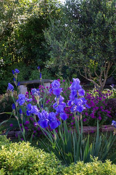 Jardin de Cyril - Maine-et-Loire
