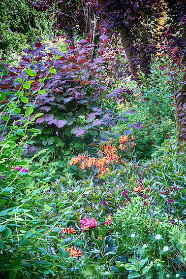 Jardins de Quercy