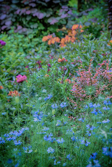 Jardins de Quercy