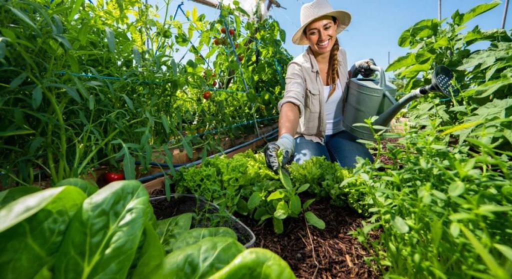Voici comment garder un jardin luxuriant malgré des vagues de chaleur extrême
