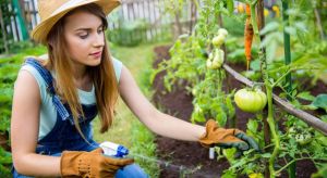 Jardinière qui arrose ses plantes