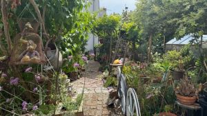 A Strasbourg, Patrick soigne vos plantes gratuitement dans son jardin
