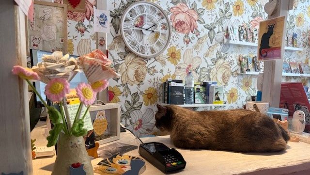 Alsace : à Mon Chat-Pitre, les chats sont les libraires