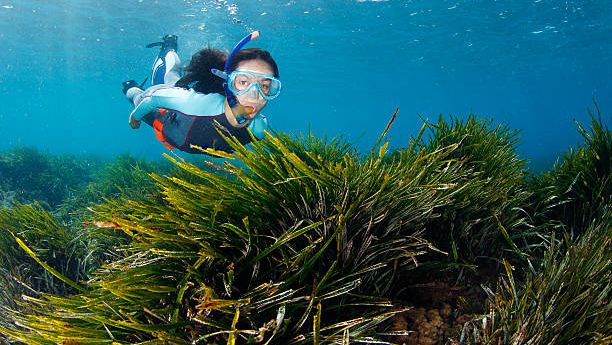 Côte d’Azur : des randonnées palmées, guidées et contées