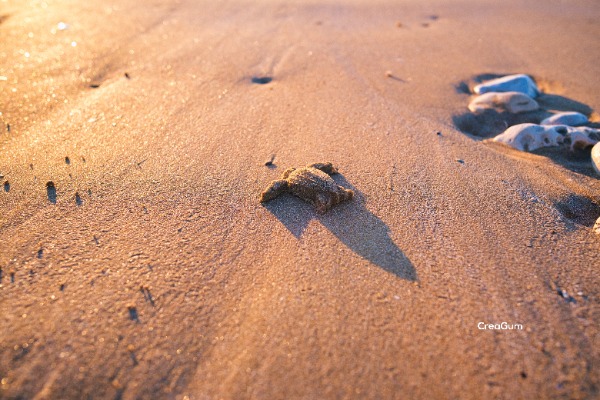 Creagum : des jouets de plage créés à partir de chewing-gums usagés