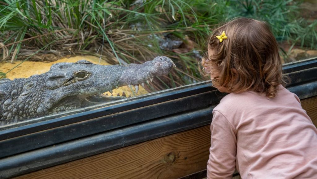 Drôme : la conservation et la sensibilisation au cœur de la Ferme aux Crocodiles