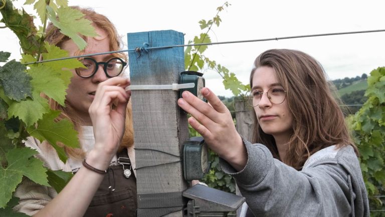 Every1counts, une plateforme de collecte et de suivi de données la biodiversité