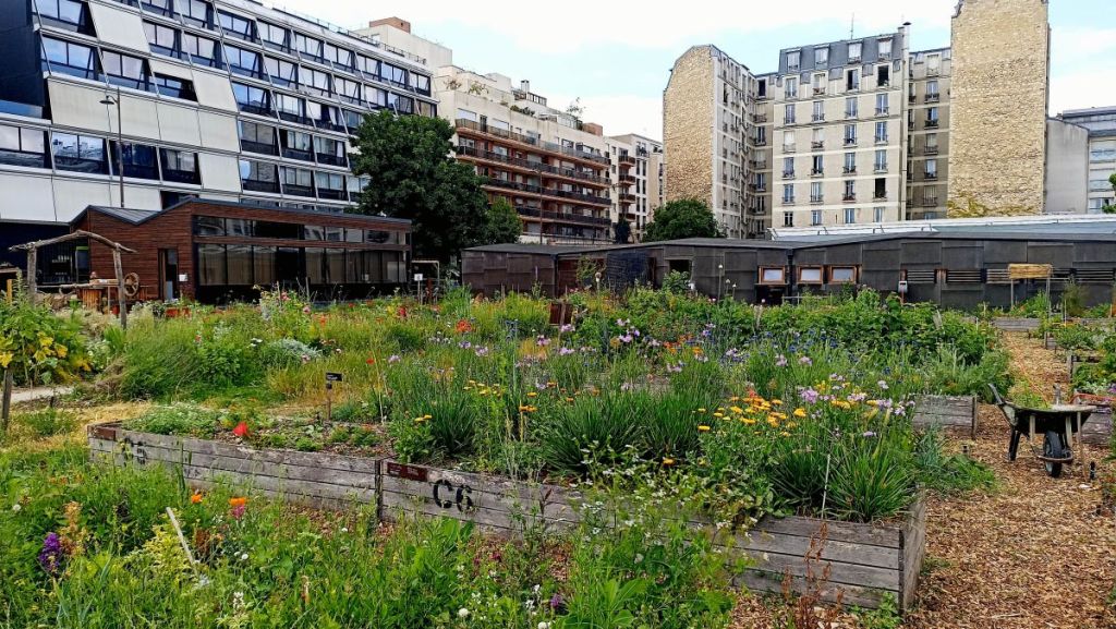 Ferme de Charonne : quand les champs s’invitent à Paris 