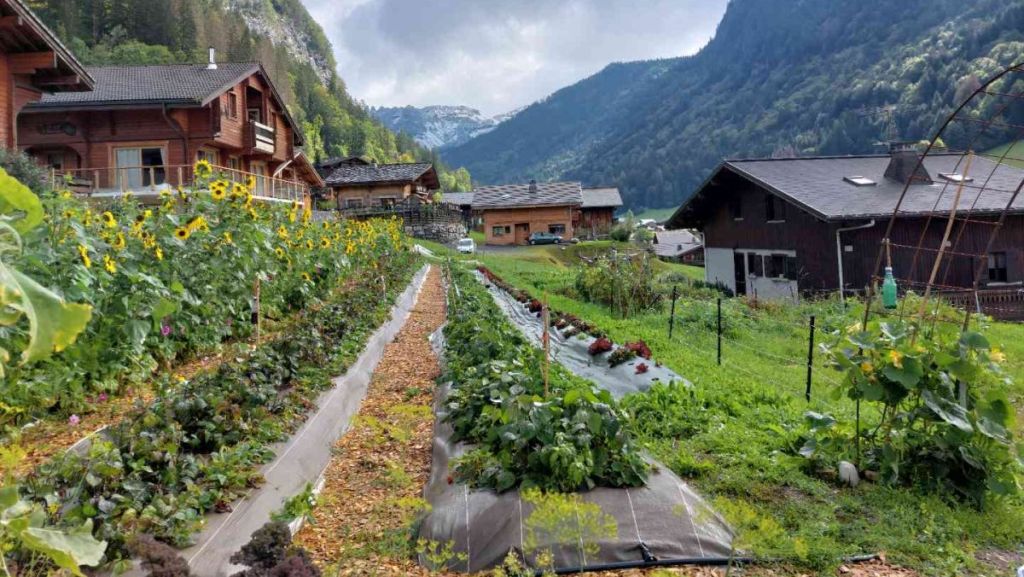 La cordée de légumes : des fruits et légumes bio cultivés à 1 000 m d’altitude