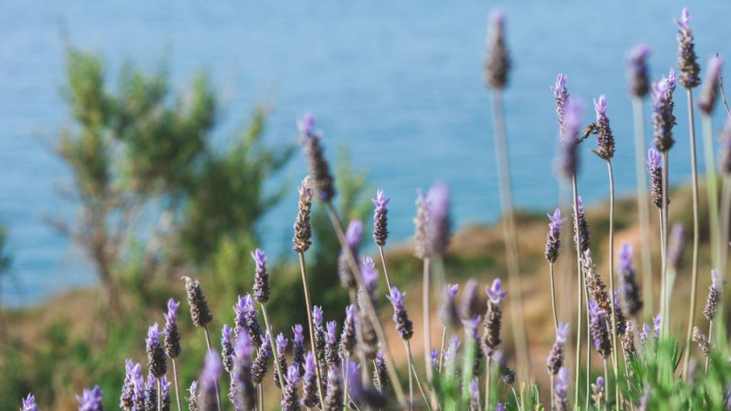 Ma grand-mère me raconte ses plus beaux souvenirs d’été