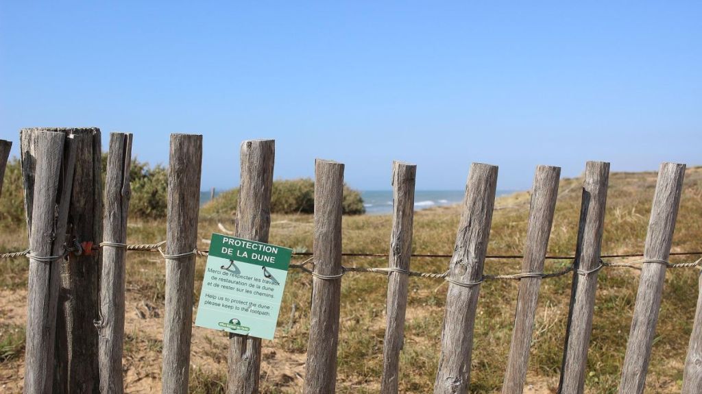 Tourisme : l’ONF sensibilise le public à la préservation des dunes