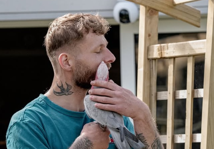 Bretagne : François se bat contre la maltraitance des perroquets