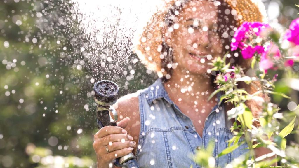 Canicule au jardin : maîtriser l’arrosage sans gaspiller une goutte