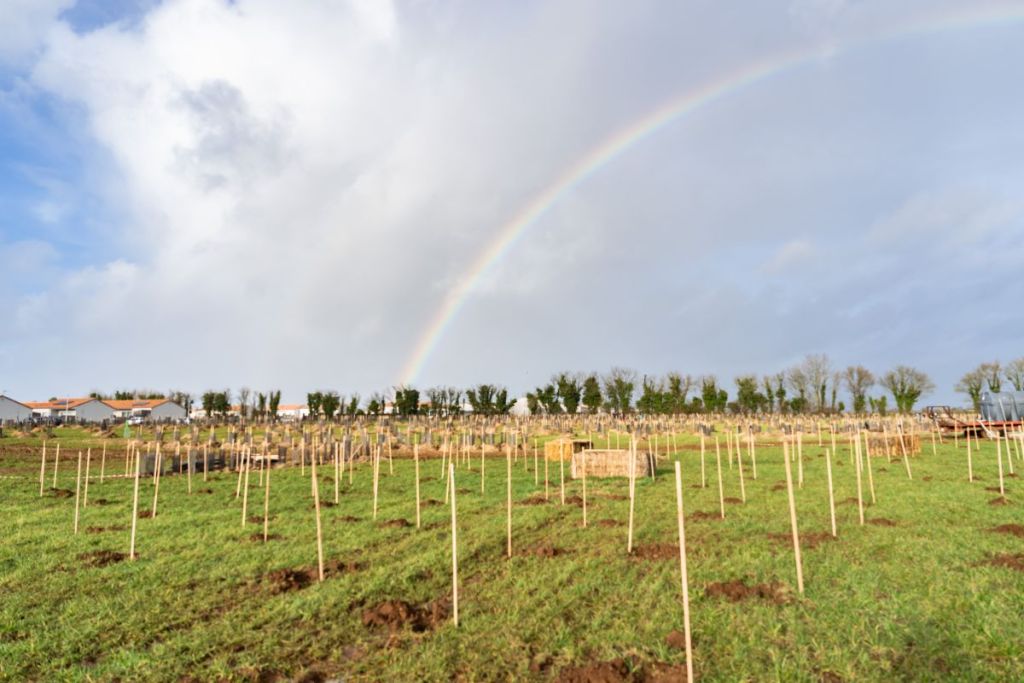 Créateur de forêt : un métier au service de la biodiversité