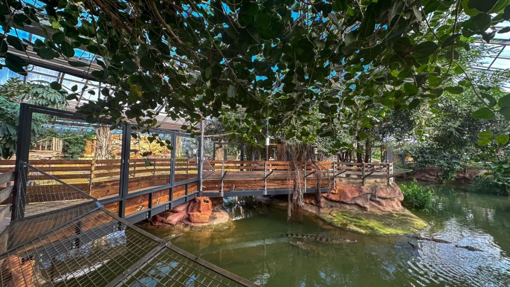 Drôme : à la découverte de la Ferme aux Crocodiles – Réserve Tropicale