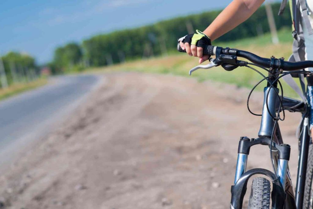 Louise, 21 ans, part à vélo à la découverte de l’Europe et de ses fermes