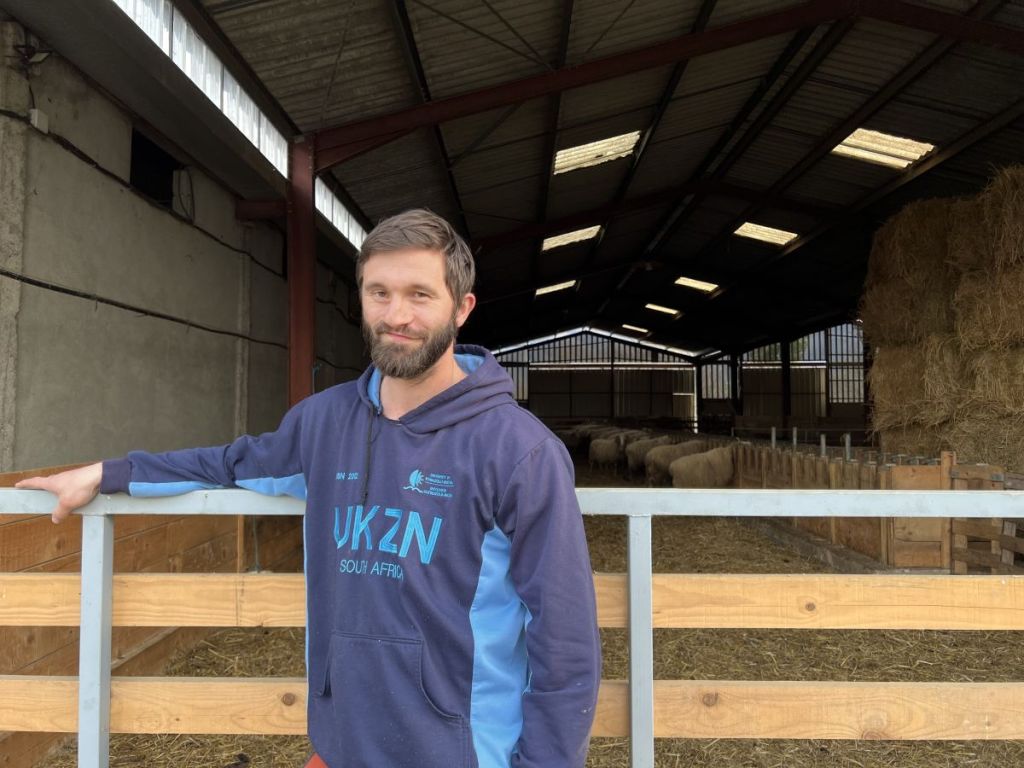 Pyrénées : au cœur d’une ferme de brebis laitières à Peyrouse