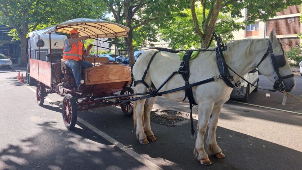 Sarcelles : un cheval pour sensibiliser au tri des biodéchets