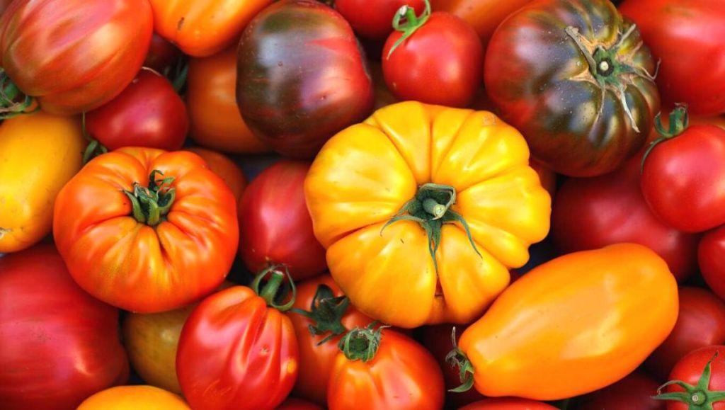 Tomate et digestion : la méthode qui change tout pour en profiter cet été
