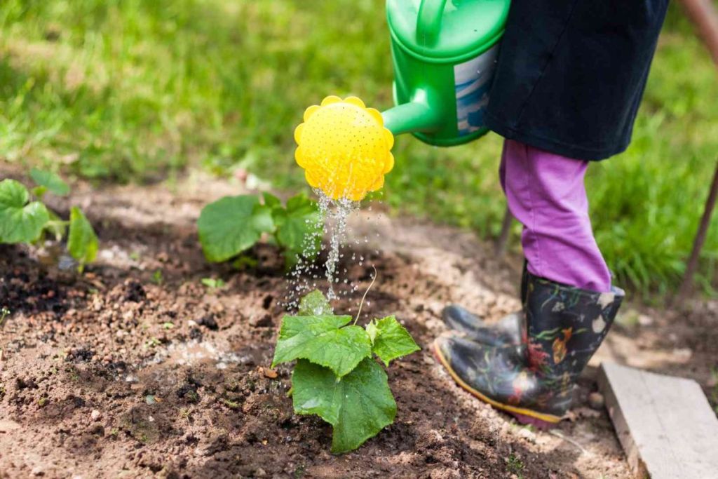 Dans le jardin-école de Clamart, les enfants découvrent la saisonnalité