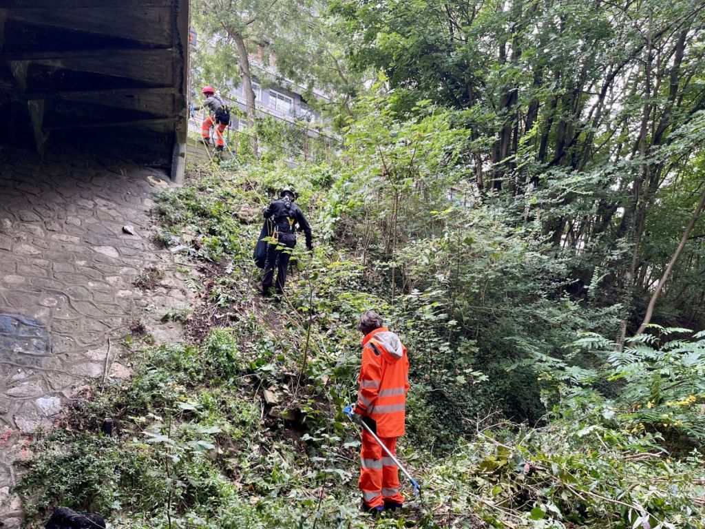 Paris : cette association utilise l’écologie urbaine comme levier d’insertion