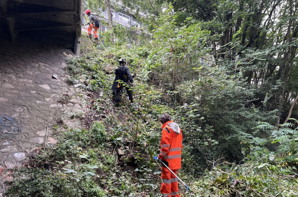 Quand l’écologie urbaine devient un outil d’insertion professionnelle