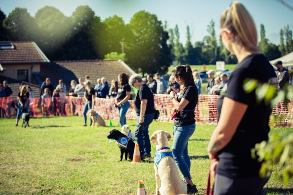 Une journée porte ouverte pour sensibiliser au rôle des chiens guides